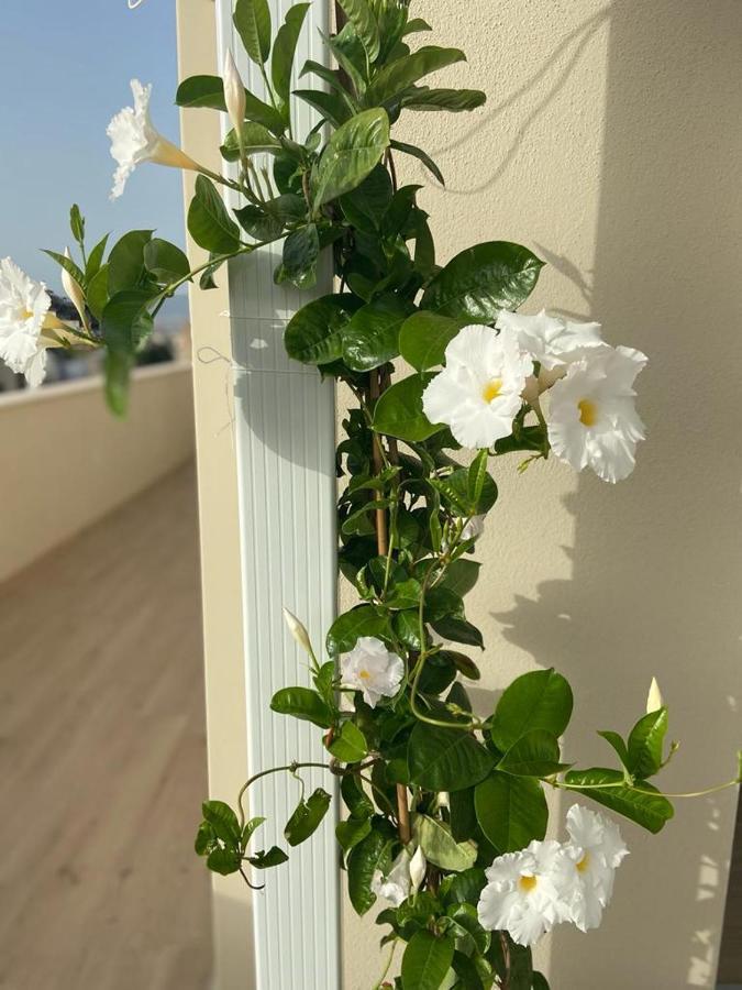Rossini Penthouse Apartment Cagliari Ngoại thất bức ảnh